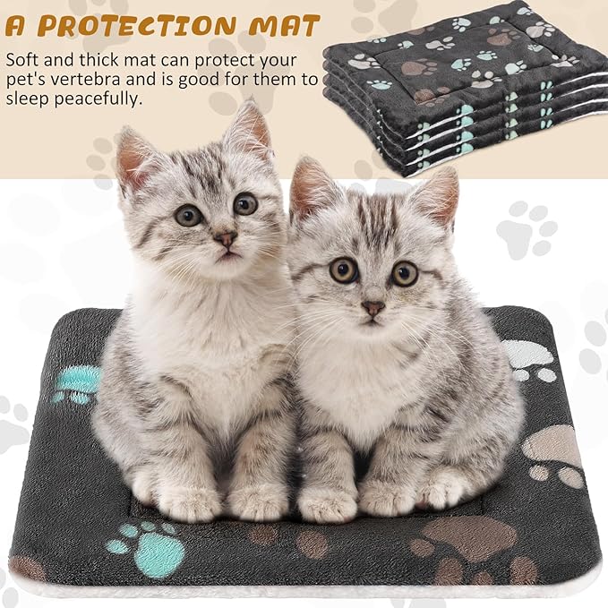 4 Pack Ultra Soft Dog Cat Bed Mat with Cute Prints Reversible Fleece Dog Crate Kennel Pad Cozy Washable Thickened Hamster Guinea Pig Bed Pet Bed Mat for Small Animals (Black,13 x 19 Inches)