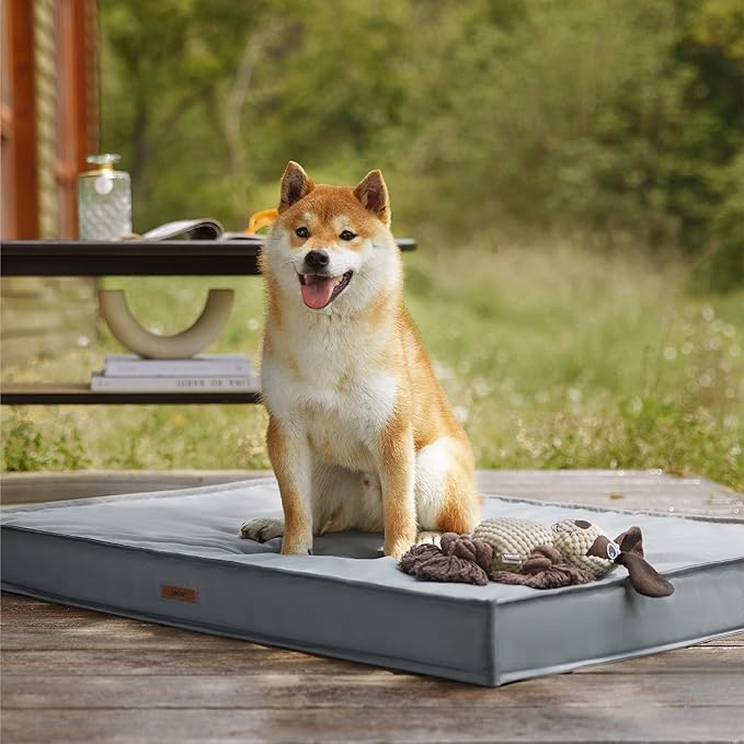 Lesure Outdoor Waterproof Dog Beds for Large Dogs