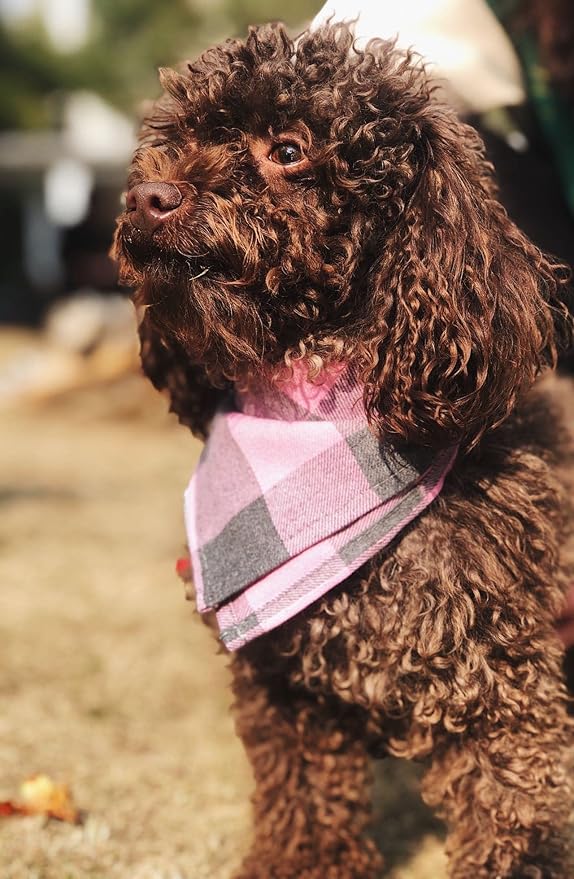 Bubblepup Plaid Dog Bandana 1PC Square