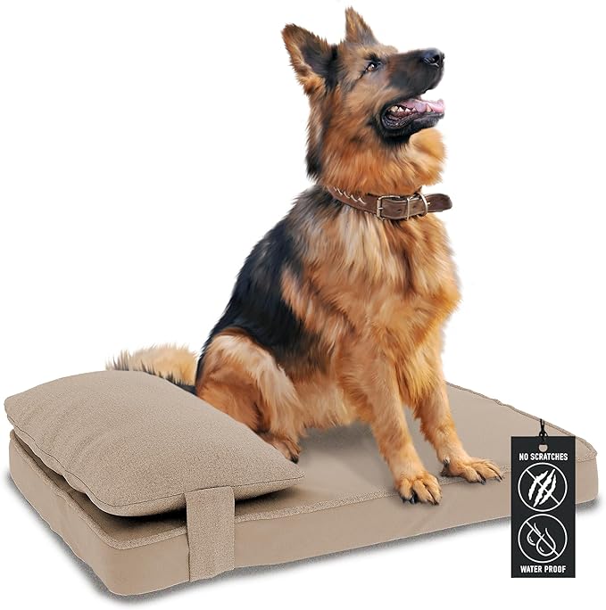 42"x 32" x 7" Washable Dog Bed with Square Pillow and Waterproof Cover, High Density Foam Scratch Proof XL Dog Bed with Orthopedic Support, Ultrasoft Breathable Pet Bed, Camel