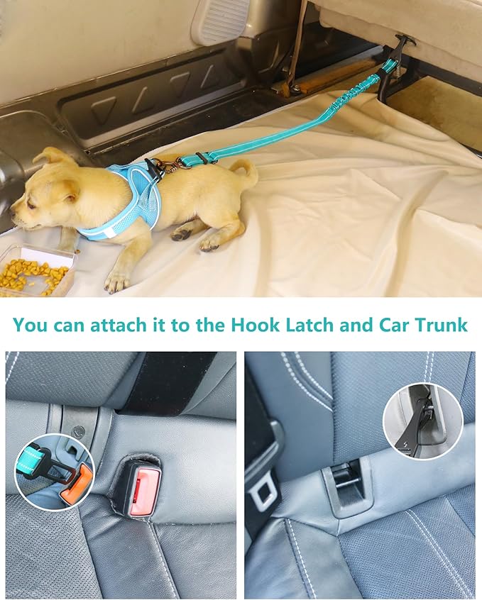 AUBELL Dog Seatbelt, Updated 3-in-1 Pet Car Seat Belt for Dogs, Bungee Dog Car Tether with Clip Hook Latch & Buckle, Heavy Duty Dog Car Harness with Swivel Aluminum Carabiner,Teal