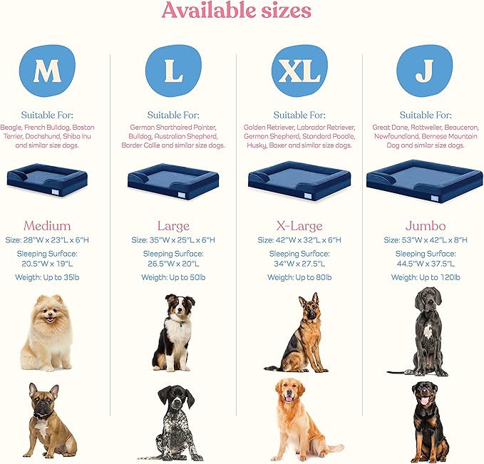 Orthopedic Sofa Dog Bed