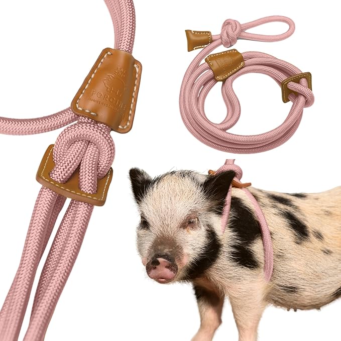 Pig Harness Leash-Fully Adjustable Pig Leash Harness for Small & Medium Pigs-Easy Step in Harness-Infinity Style Pet Pig Leash-Durable & Gentle Mini Pig Harness-Mini Pig Supplies (Small-Mauve Pink)