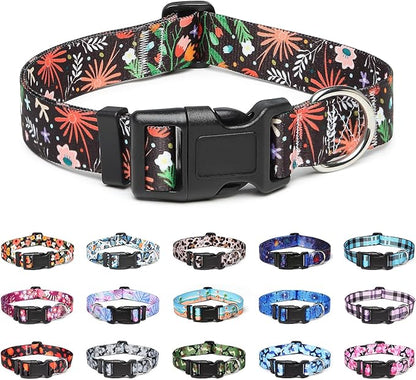 Adjustable Dog Collar with Patterns