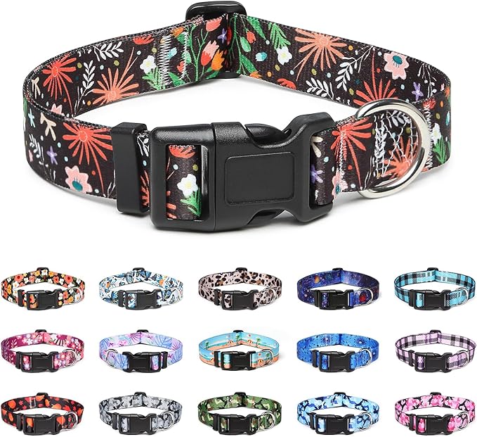 Adjustable Dog Collar with Patterns
