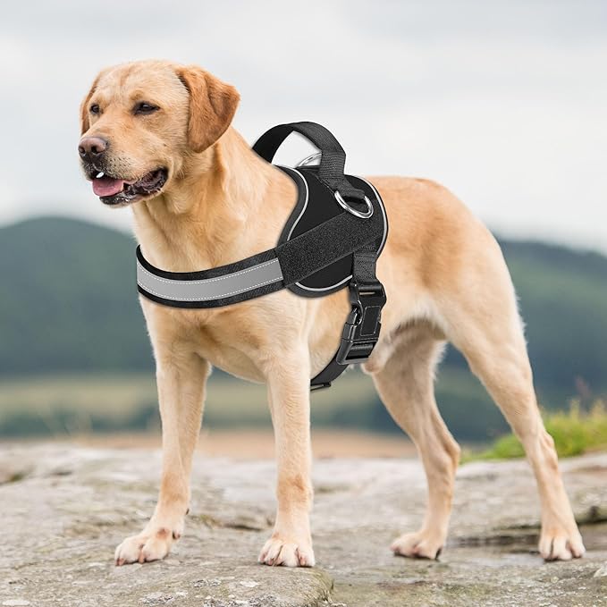 Haapaw Essential Dog Harness, No Pull Pet Vest with 3 Leash Clips, No Choke, Reflective, Adjustable and Padded, for Easy Walking and Training for Large Dogs(XL, Black)