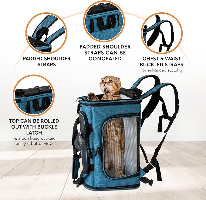 DCSP Pets Pet Carrier - Versatile Cat Carrier Converts to Backpack - Airline Approved Dog Bag Carrier with Mesh Widows - Suitable for Large Cats, Small Dogs - Soft Travel Carriers for Hiking, Walking