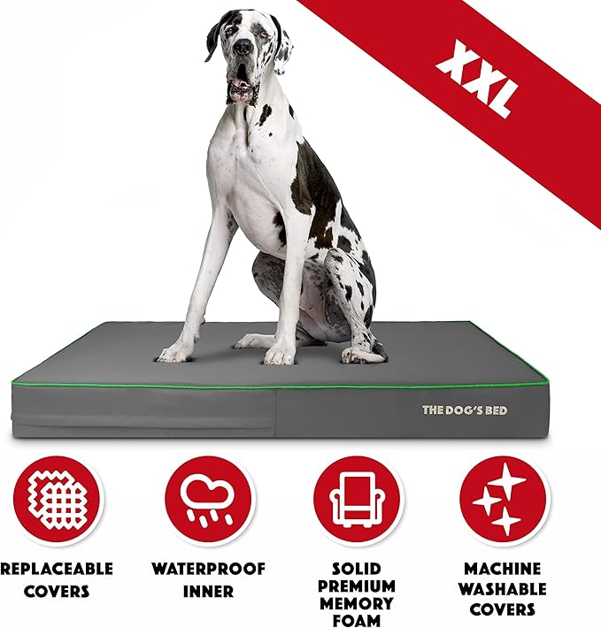 The Dog’s Bed Orthopedic Memory Foam Dog Bed 54x36 Pain