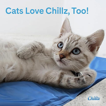Hugs Pet Products Chillz Gel Mat
