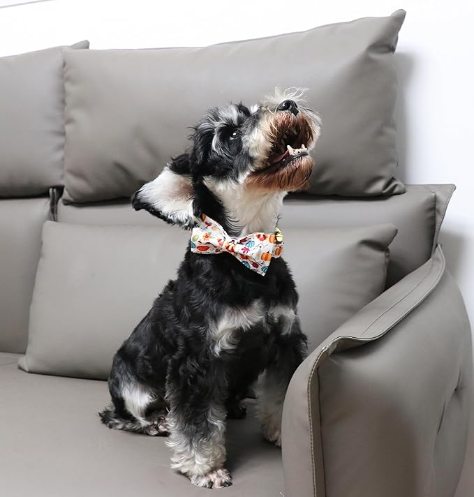 Unique Style Paws Cotton Dog Collar with Bow
