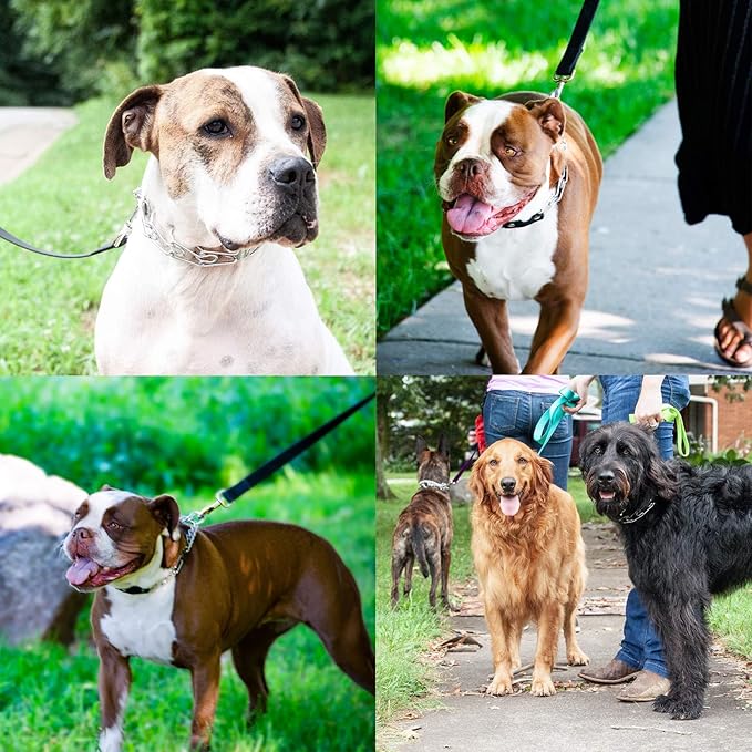 Dog Collar Extra Links Designed for Herm. Sprenger (6 Pack) 2.25mm