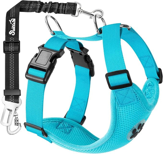 SlowTon Dog Seat Belt Harness for Car, Dog Car Harness Adjustable Mesh Breathable & Dog Seatbelt Safety Tether with Elastic Bungee for Small Medium Large Pets(Light Blue, Double Clip, XXXS)