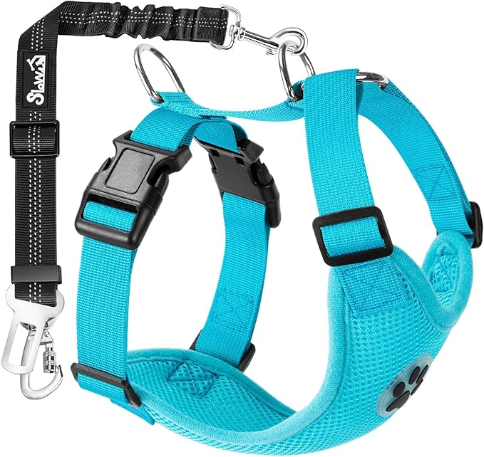 SlowTon Dog Seat Belt Harness for Car, Dog Car Harness Adjustable Mesh Breathable & Dog Seatbelt Safety Tether with Elastic Bungee for Small Medium Large Pets(Light Blue, Double Clip, XXS)