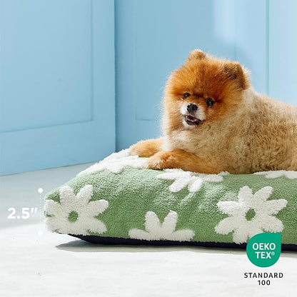 Lesure Small Dog Beds-Thick Shredded Chopped Foam Pet Bed Bottom(24'x16', Green)
