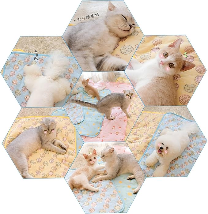 DELIFUR Dog Cooling Mat- Pet Cooling Mat Outdoor for Dogs Self Cooling Pad for Small Medium Dog Machine Washable (Large