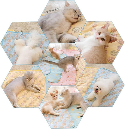 DELIFUR Dog Cooling Mat- Pet Cooling Mat Outdoor for Dogs Self Cooling Pad for Small Medium Dog Machine Washable (Large