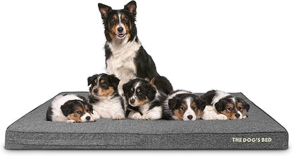 The Dog’s Bed Orthopedic Memory Foam Dog Bed 64x44, Pain