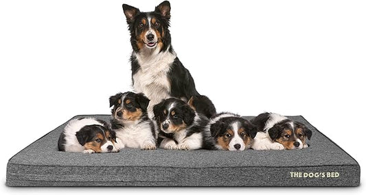 The Dog’s Bed Orthopedic Memory Foam Dog Bed 64x44, Pain