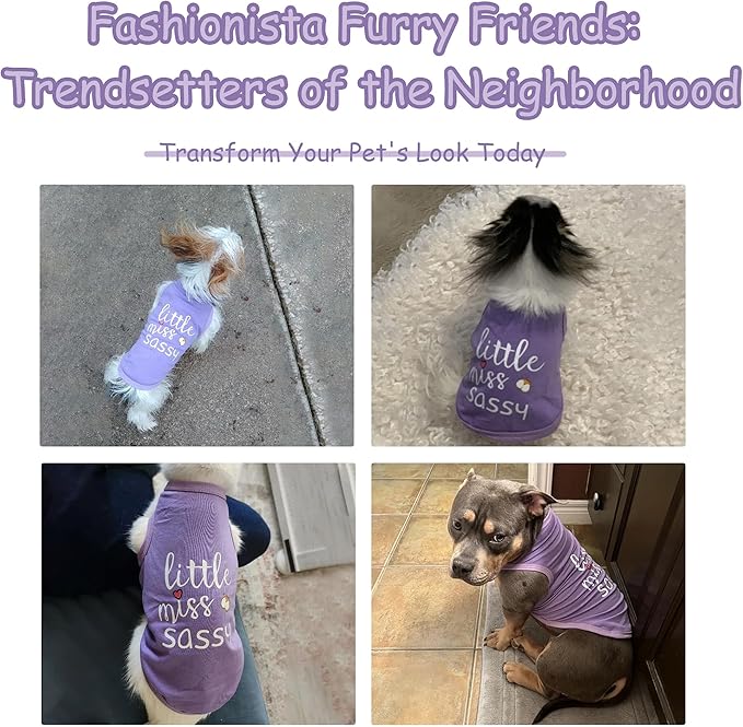 Paiaite Dog Clothes Fashionable Sleeveless Pet Vest: 'Little Miss Sassy' Printed Cotton Dog Shirt, Ideal for Small, Medium, and Large Breeds, Ensuring Comfort and Breathability Purple XS