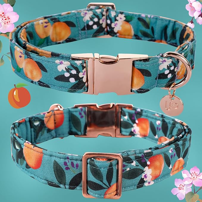 Peach Summer Cotton Dog Collar with Metal Buckle