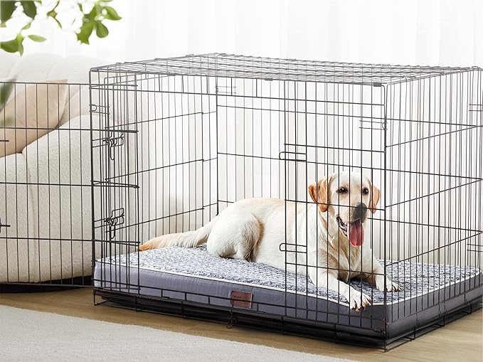 Figopage Orthopedic Memory Foam Dog Bed for Large Dogs (XXXL(50"x36"x3.5"), Grey)