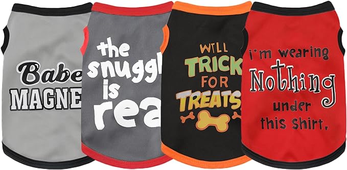 Elevate Your Pet's Seasonal Style with Playful Panache: 4-Piece Set 1 Large