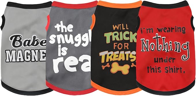 Elevate Your Pet's Seasonal Style with Playful Panache: 4-Piece Set 1 XX-Large