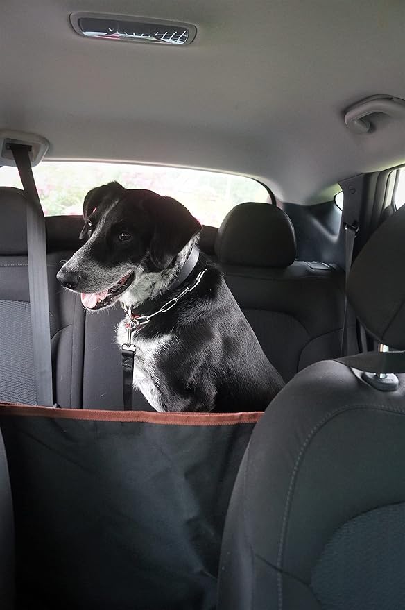 Backseat Extender for Dogs