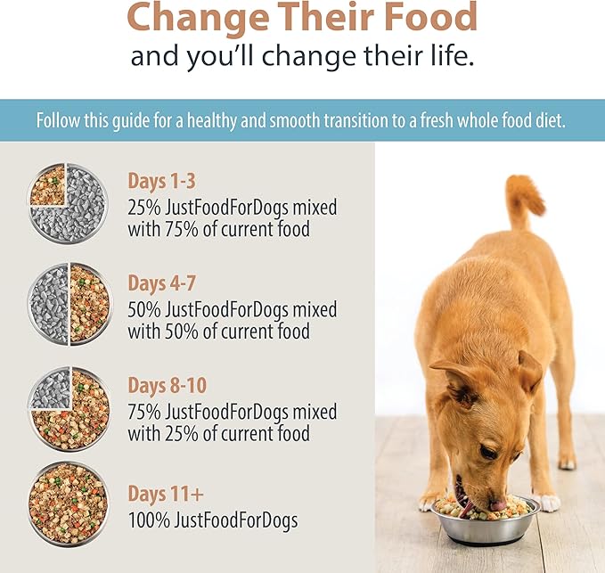 JustFoodForDogs DIY Nutrient Blend for Homemade Dog Food, Lamb & Brown Rice Recipe, 4.55oz