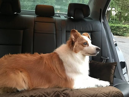 Brilliant Sunshine Premium Chocolate Silky Velvet Pet Sofa Bed