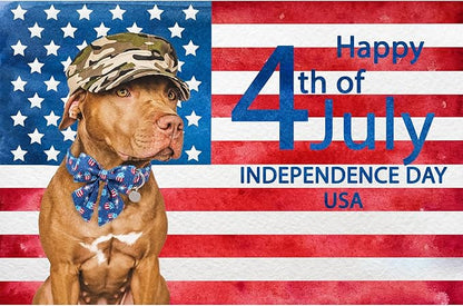 Patriotic Dog Collar with Bow Tie 4th of 13.5-22in