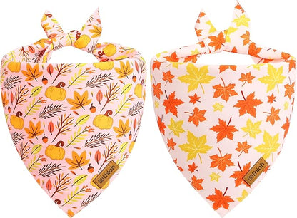 Fall Dog Bandanas 2 Pack