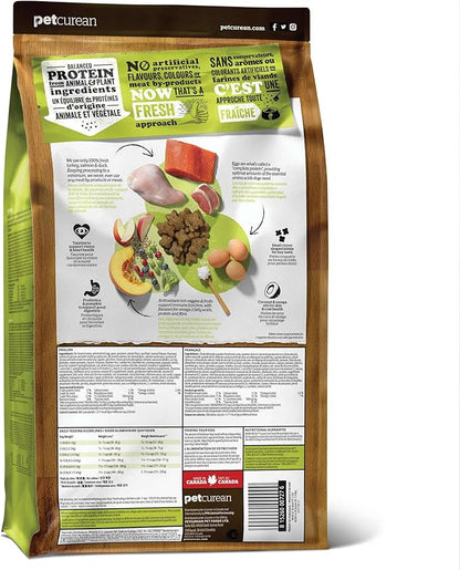 Now Fresh Grain-Free Dry Dog Food 12 lb