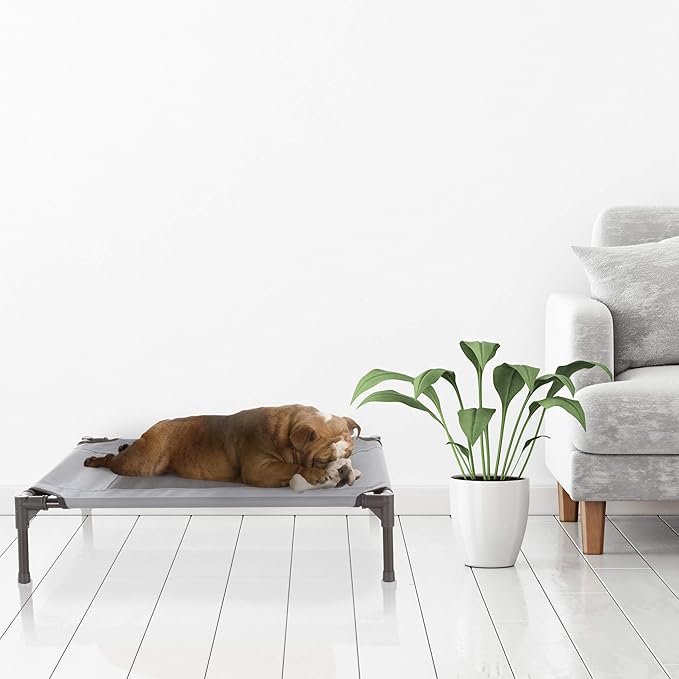 Elevated Dog Bed 30x24-Inch Portable 50lbs by