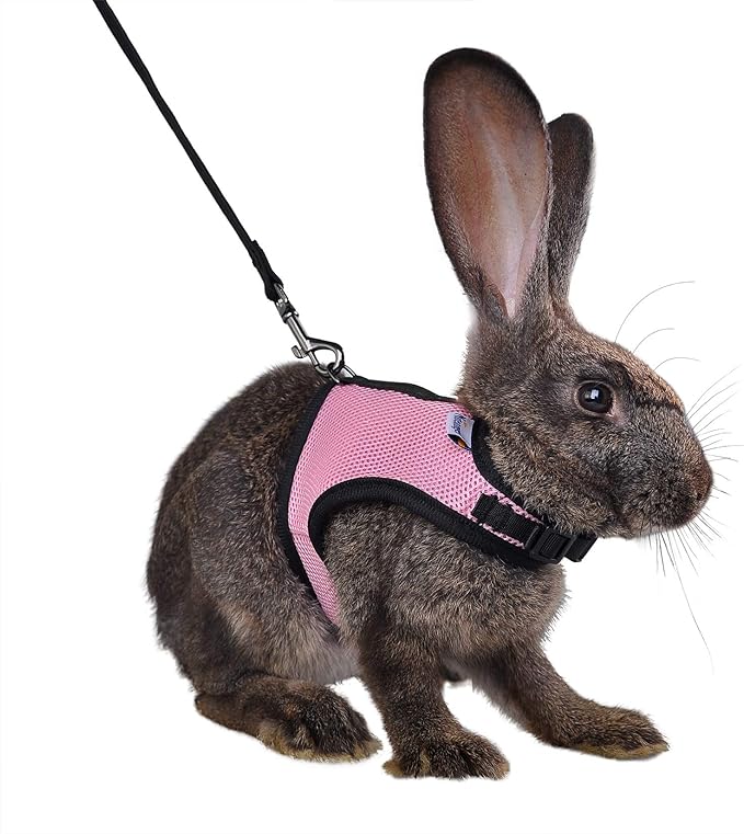 Niteangel Adjustable Soft Harness with Elastic Leash for Rabbits (M, Pink)