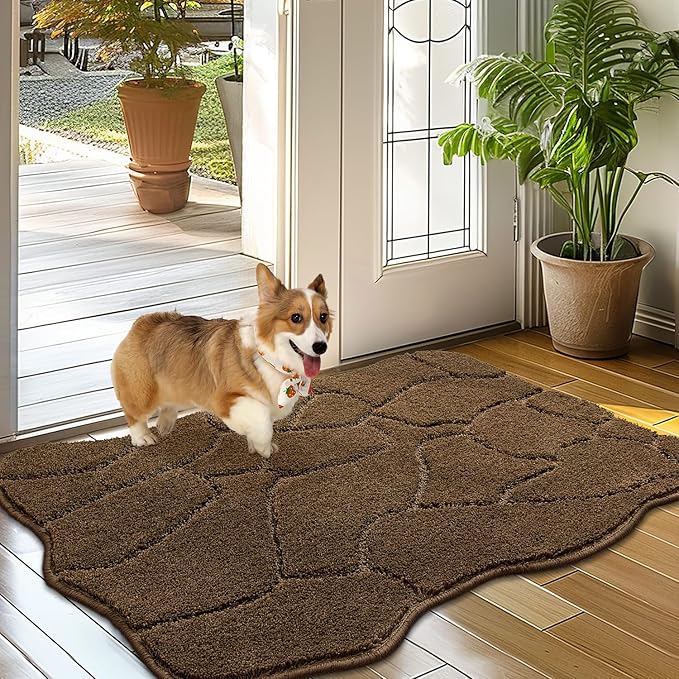 BSICPRO Dog Mat for Muddy Paws 24x36 Low
