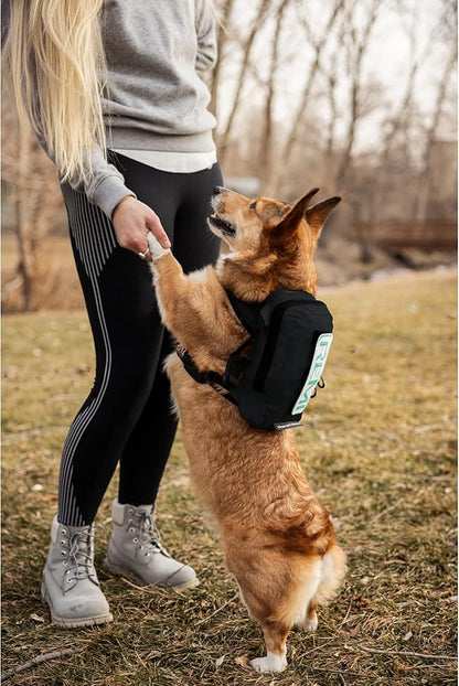 K9 Sport Sack Walk-On | Dog Carrier Dog Backpack with Harness & Storage (Small, Anthracite Black)