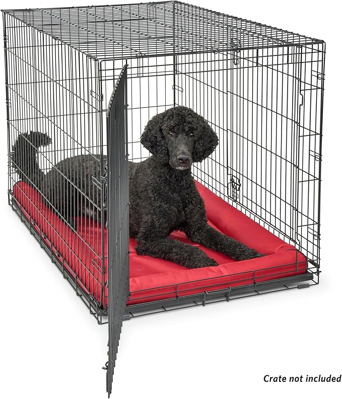 MidWest Homes for Pets Maxx Dog Bed Designed to Fit a 48-Inch Dog Crate 48-Inch, Red