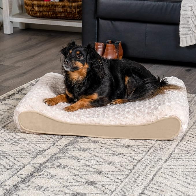 Furhaven Orthopedic Dog Bed for Medium/Small Dogs w/ Removable Washable Cover 23 lbs