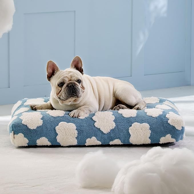 Lesure Dog Bed Medium Size Dog-Thick Shredded Chopped Foam Pet Bed Bottom(30'x20', Blue)