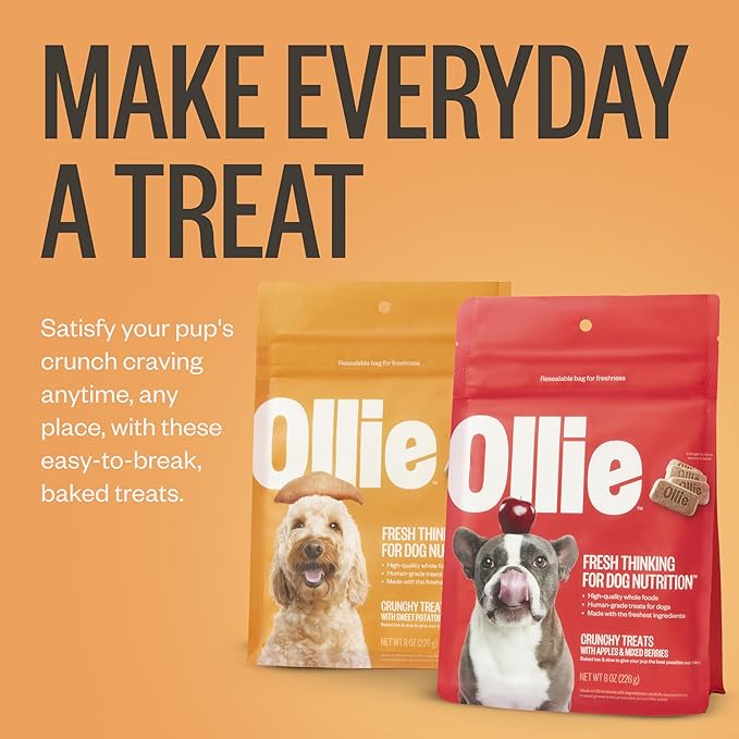 Ollie Crunchy Treats Variety Pack - Apple Berry & Sweet Potato Recipe - Crunchy Dog Treats All Natural - Healthy Dog Treats - 100% Human Grade - Baked in USA Kitchens 16 Oz.