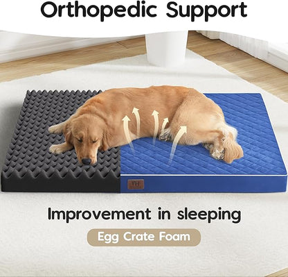 Orthopedic Dog Beds for Large Dogs with Removable Washable Cover 48 inch,