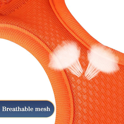 YIMEIS Dog Harness and Leash Set, No Pull Soft Mesh Pet Harness, Reflective Adjustable Puppy Vest for Small Medium Large Dogs, Cats (Orangeblue, Medium (Pack of 1))