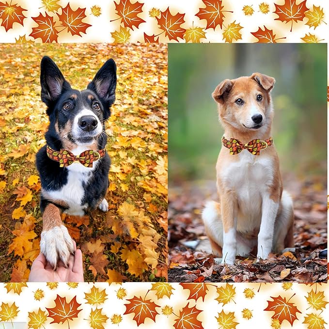 Unique style paws Fall Dog Collar with Bow