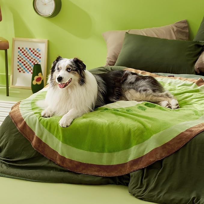 Lesure Dog Blankets for Large Dogs 350GSM Flannel 50"x50", Green