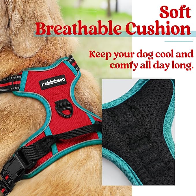 rabbitgoo Dog Harness, No-Pull Pet Harness with 2 Leash Clips, Adjustable Soft Padded Dog Vest, Reflective No-Choke Pet Oxford Vest with Easy Control Handle for Large Dogs, Red & Teal, S