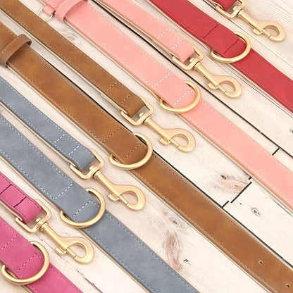 Beirui Soft Padded Leather Dog Collar and Leash Set 4FT Leather