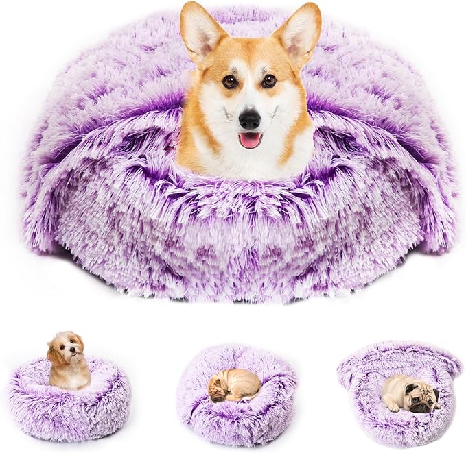 3in1 Dog Beds for Small Dogs with Blanket Attached and Removable Cover, Fluffy Donut Calming Cat Beds Washable Round(Purple,Medium)