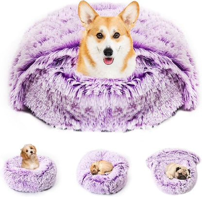 3in1 Dog Beds for Small Dogs with Blanket Attached and Removable Cover, Fluffy Donut Calming Cat Beds Washable Round(Purple,Small)