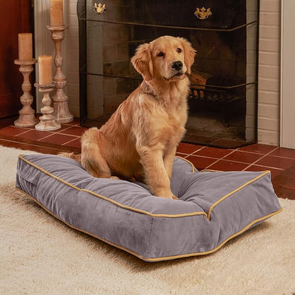 Buster Reversible Rectangle Pillow Style Dog Bed (36 x 24 in.)